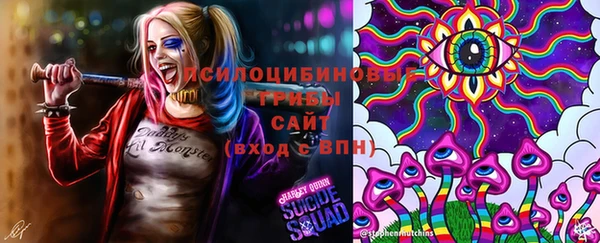 тгк Балахна